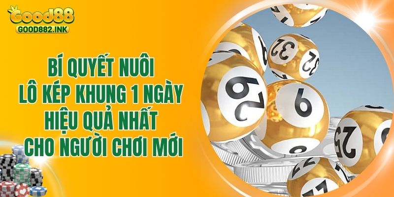 Bí Quyết Nuôi Lô Kép Khung 1 Ngày Hiệu Quả Nhất Cho Người Chơi Mới