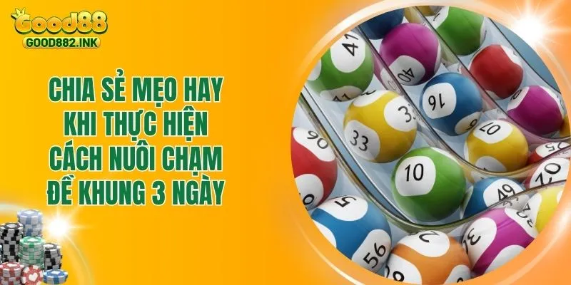 Cách Nuôi Chạm Đề Khung 3 Ngày Hiệu Quả Nhất Từ Các Chuyên Gia