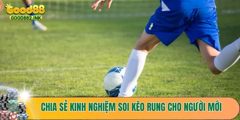 Chia sẻ kinh nghiệm soi kèo rung cho người mới
