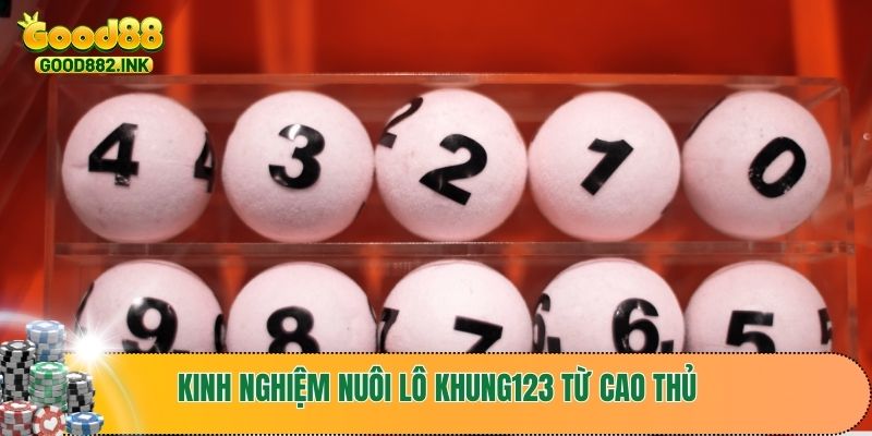 Kinh nghiệm nuôi lô khung123 từ cao thủ chia sẻ