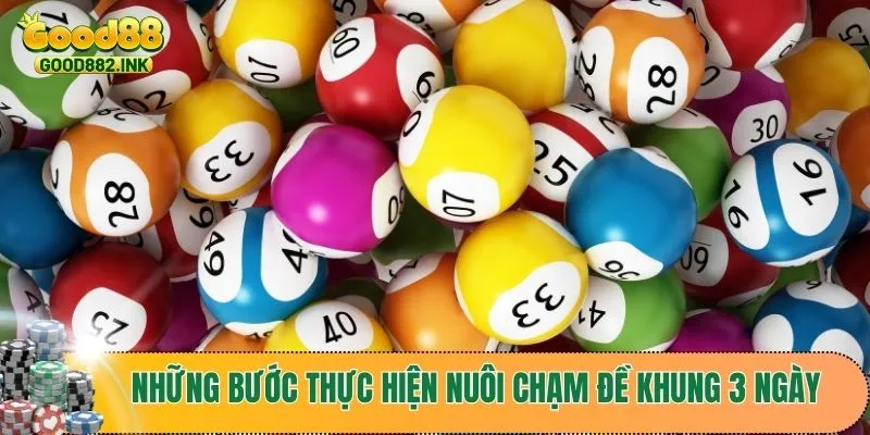 Những bước thực hiện cách nuôi chạm đề khung 3 ngày