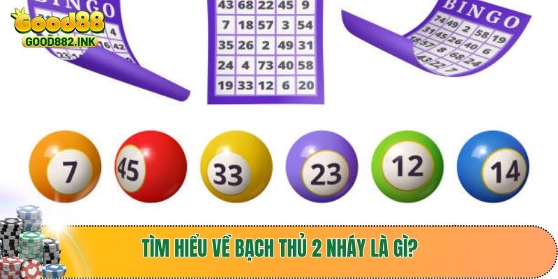 Tìm hiểu về bạch thủ 2 nháy là gì?