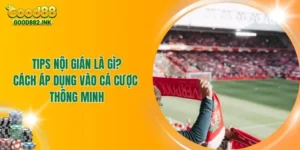 Tips Nội Gián Là Gì? Cách Áp Dụng Vào Cá Cược Thông Minh