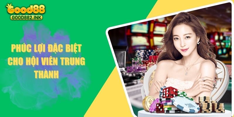 Phúc lợi đặc biệt cho hội viên trung thành